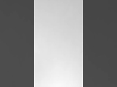 تیم سازی در جشنواره قایق اژدها